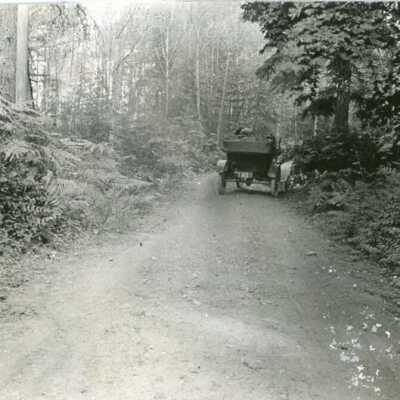Photograph