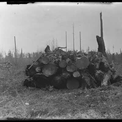 Log pile: Origsize: 4x5; Origformat: Negative
