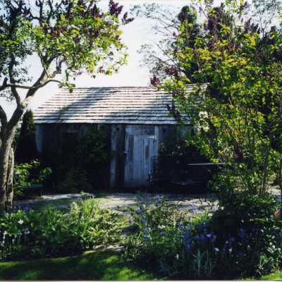 Photograph