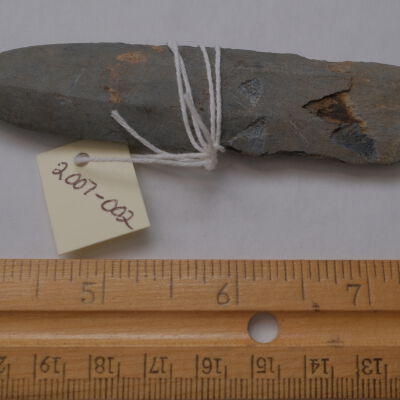 Knife, Skinning
