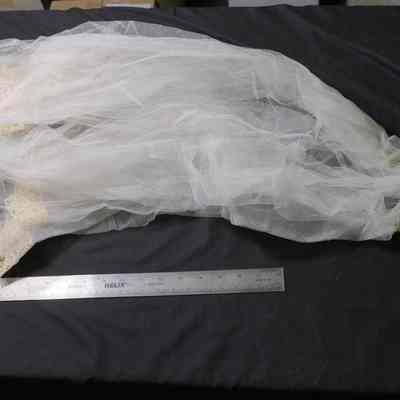 Veil