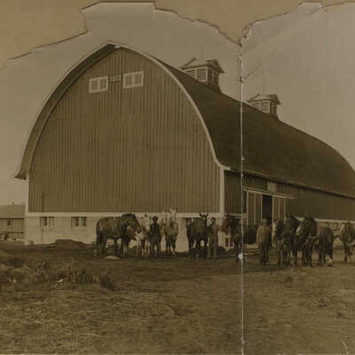 Neil Barn