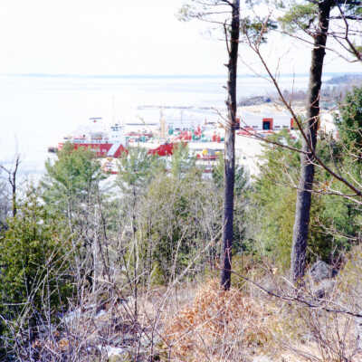 Photograph