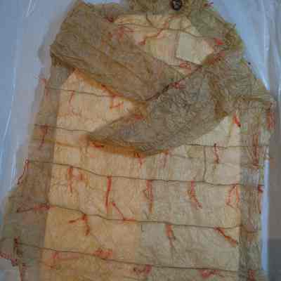 Kamleika raincoat