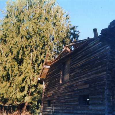 Photograph