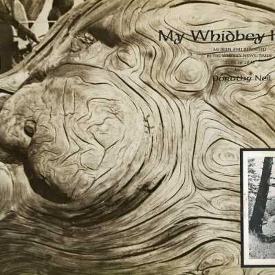 My Whidbey Island