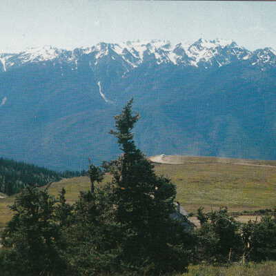 Bailey Range as viewed from Hurricane Ridge Lookout: Origsize: 3.5x5.5; Origformat: Print-Photographic