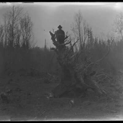 Man sitting on tree root: Origsize: 4x5; Origformat: Negative