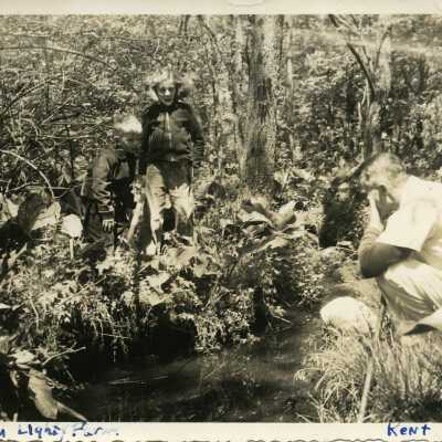Print, Photographic