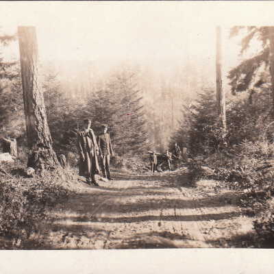 Postcard, Photographic