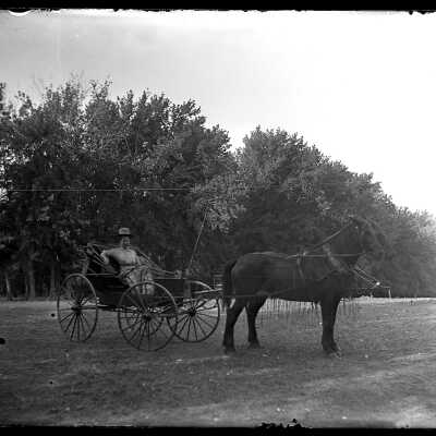 Woman in Horse-Drawn Buggy