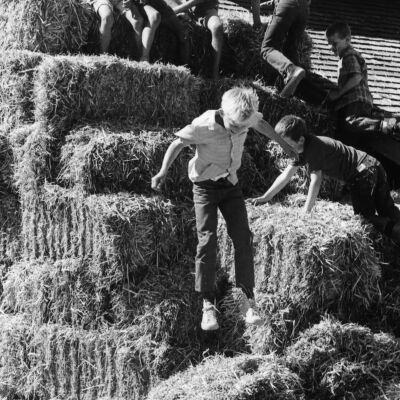 Island County Fair