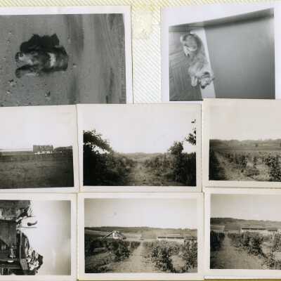 Johnsinemaalbum015