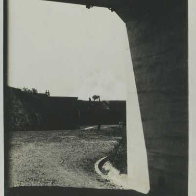 Postcard, Photographic