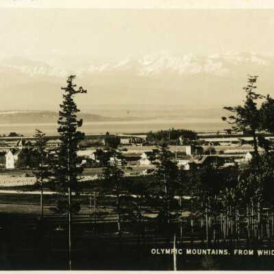 Postcard, Photographic, Photographic