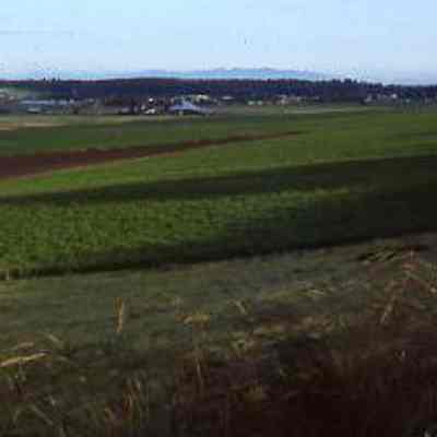 Farmland on Ebey's Prairie