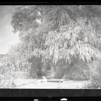 S.S. Zenobia Lovejoy home