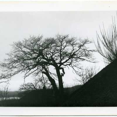 Postcard, Photographic