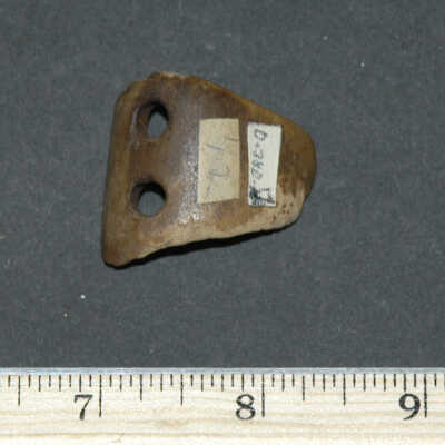 Tool, Undetermined