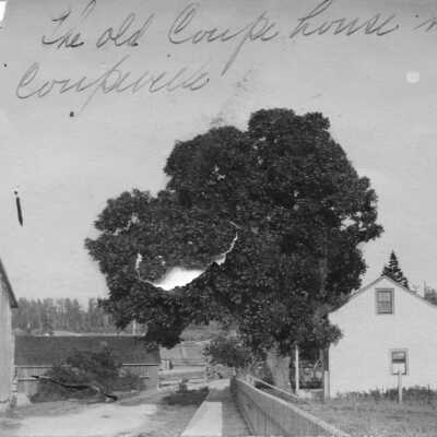 Postcard, Photographic