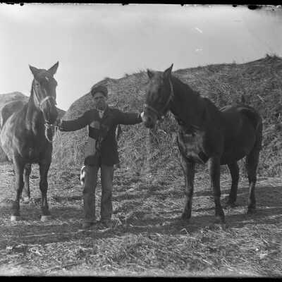 Man holding two horses: Origsize: 4x5; Origformat: Negative