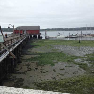 2015 Penn Cove Water Festival