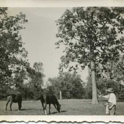Origformat: Print-Photographic