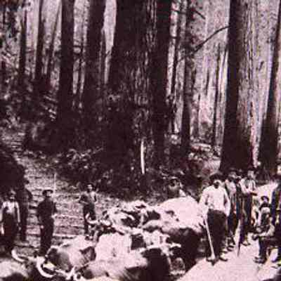 Logging Operations