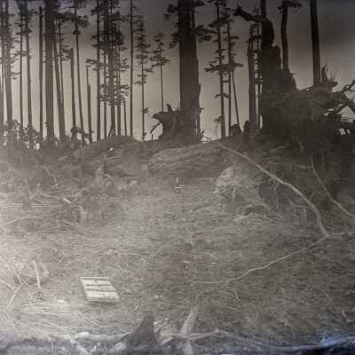 Negative, Glass-plate