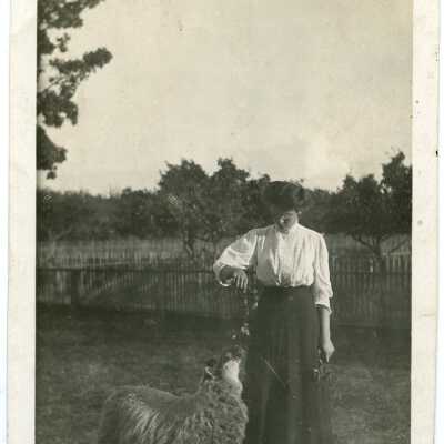 Postcard, Photographic