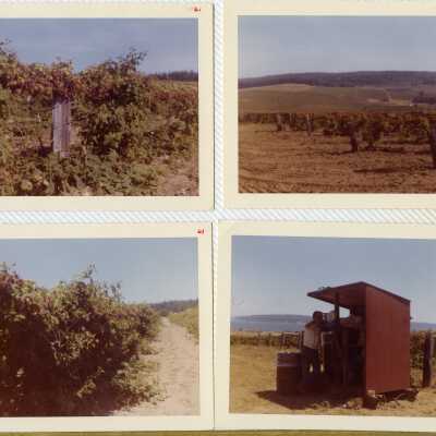 Johnsinemaalbum023