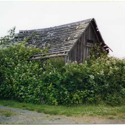 Photograph