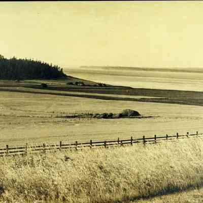Ebey's Prairie