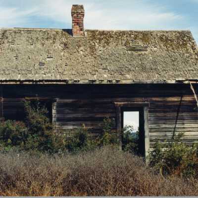 Photograph