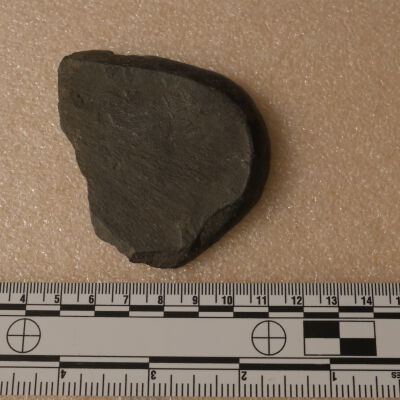 Ax head