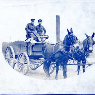 Postcard, Photographic, Photographic