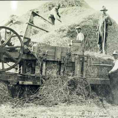 Baling Wheat - Beach View Farm
