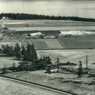 Looking from Coupeville to San de Fuca. Turkeys