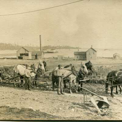 Print, Photographic - 6-Horse Team