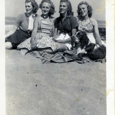 Photograph