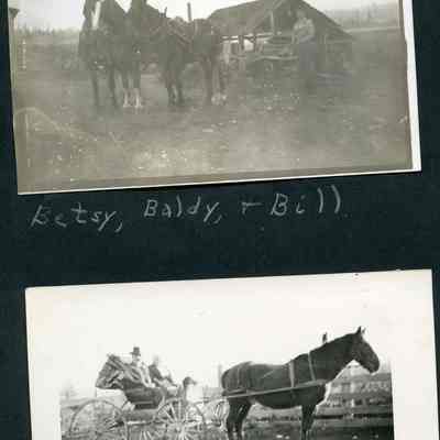 Dad (John), mother (Nancy) Izett, and horse, Bill - 1919