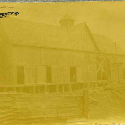 Print, Photographic
