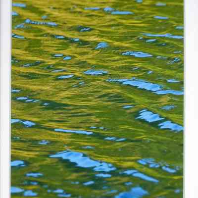 June Shimmer