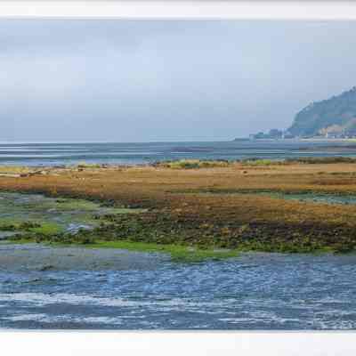 November Low Tide