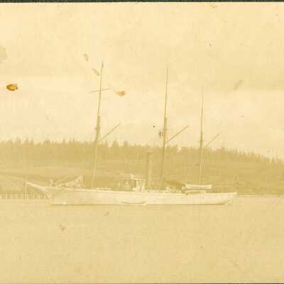 Print, Photographic