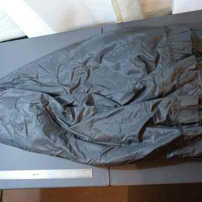 taffeta petticoat