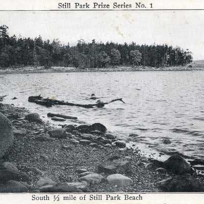 Photograph