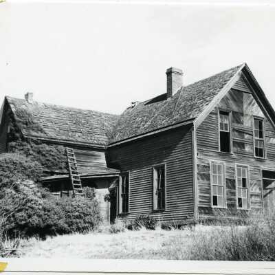 Photograph