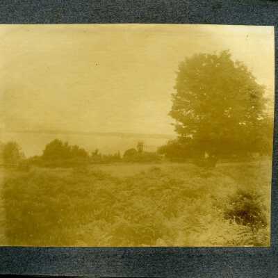 Photograph