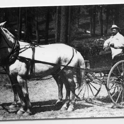 Print, Photographic